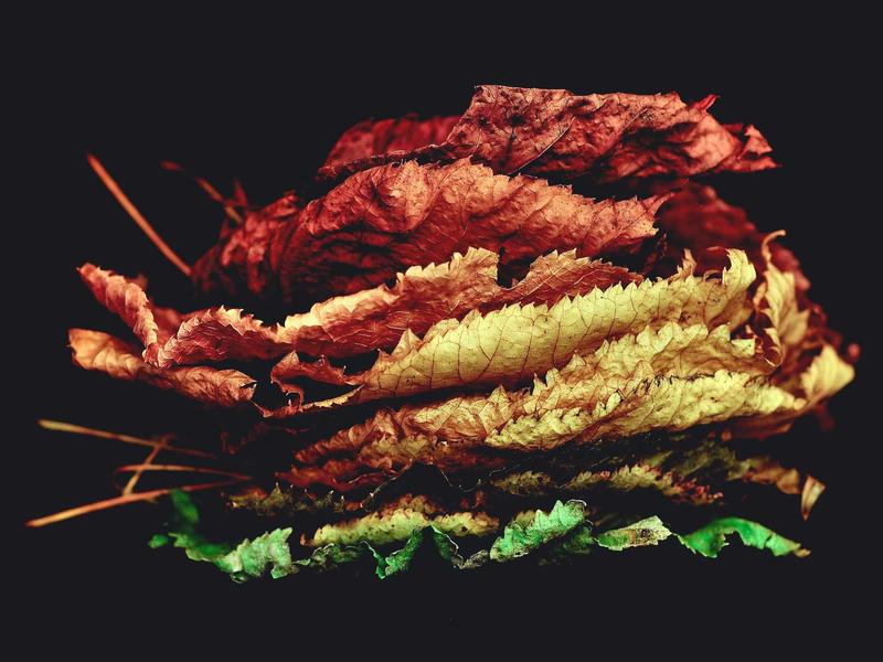 寂静岭<br>kclfxfu.cn 表里世界穿梭